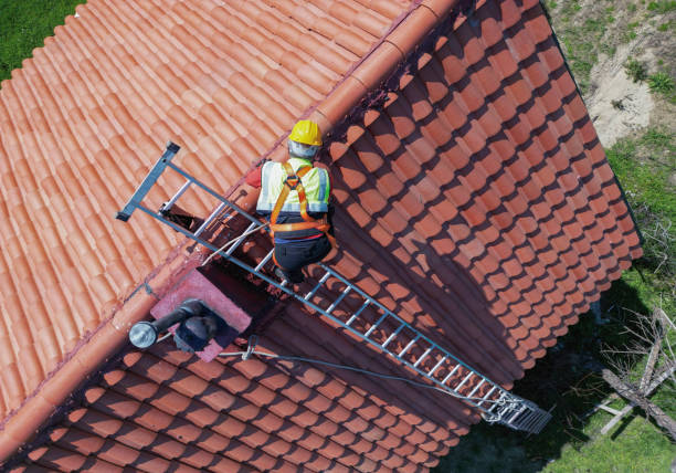 Best Roof Ventilation Installation  in Starbuck, MN